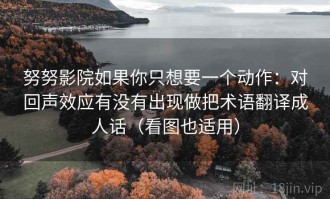 努努影院如果你只想要一个动作：对回声效应有没有出现做把术语翻译成人话（看图也适用）